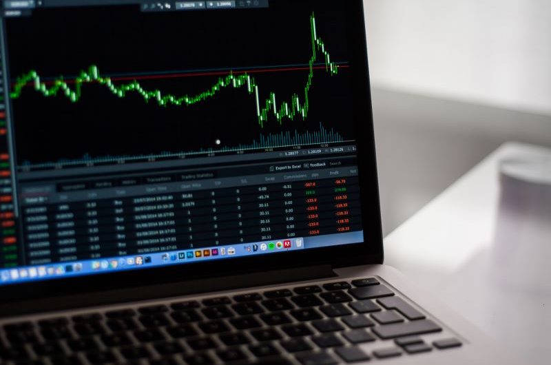 in-the-pubic-spotlight