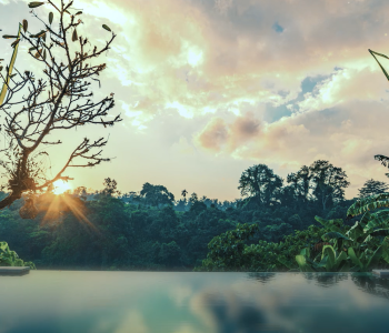 pool overlooking greenery