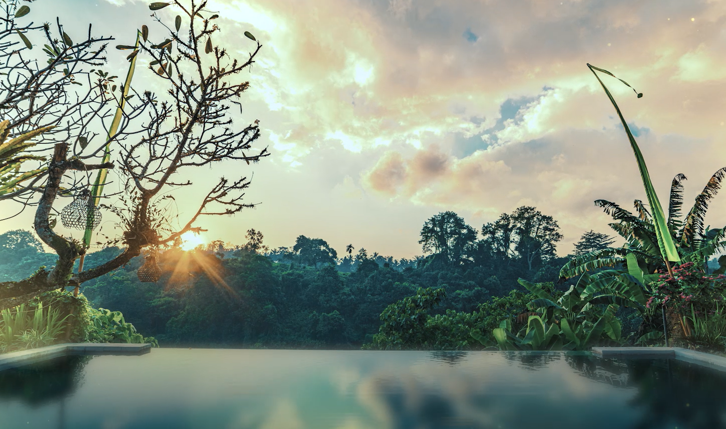 pool overlooking greenery